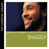 Essential Shaggy
