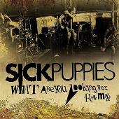 What Are You Looking For (Radio Mix) (Single)