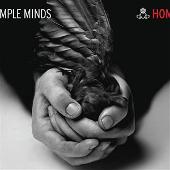 Black and White 050505