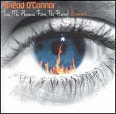 Troy [Remix CD/12" Single]