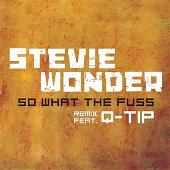 So What The Fuss (Global Soul Remix)