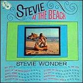 Stevie at the Beach
