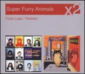 Fuzzy Logic/Radiator
