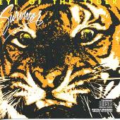 Eye Of The Tiger