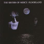 Floodland (Remastered)