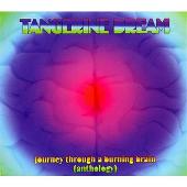 Journey Through a Burning Brain (Anthology)