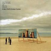 Four Thousand Seven Hundred and Sixty-Six Seconds: A Short Cut to Teenage Fanclub