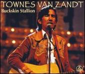 Buckskin Stallion