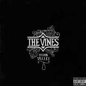 Vision Valley (Explicit)