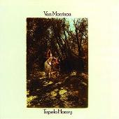 Tupelo Honey (Expanded Re-Issue) (2007 Remaster)