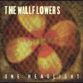 One Headlight