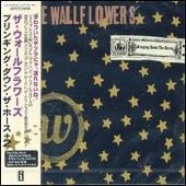 Bringing Down the Horse [Japan Bonus Tracks]
