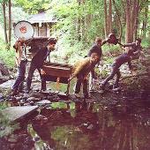 Gigantic Singles Series: White Rabbits - Cotillion Blues/Beehive State (Single)