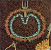 Homegrown [Japan Bonus Tracks]