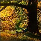 Yoko Ono & Plastic Ono Band